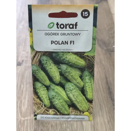 Ogórek gruntowy Polan F1